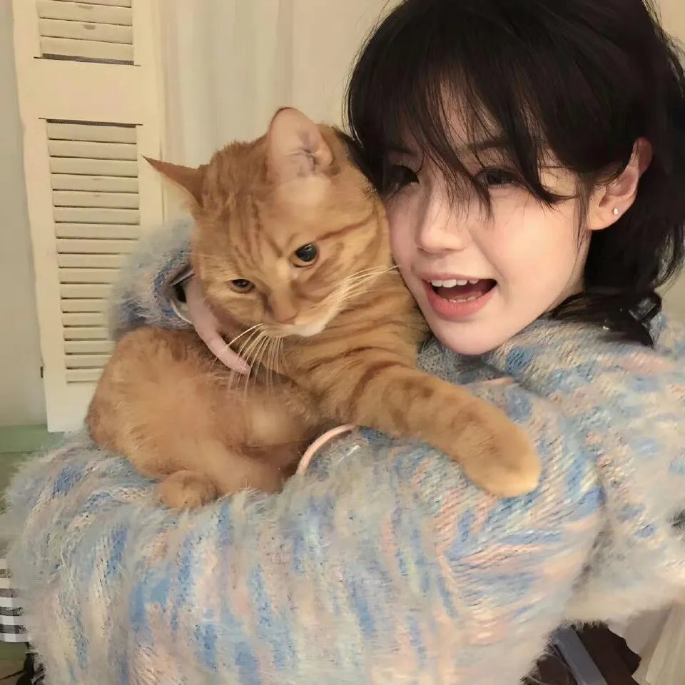 死亡链接